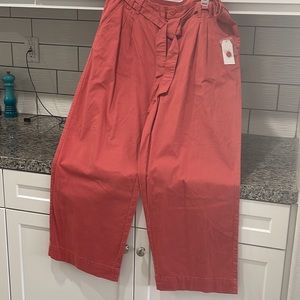 NWT Coral Pants by Time and True, relaxed fit, so 18